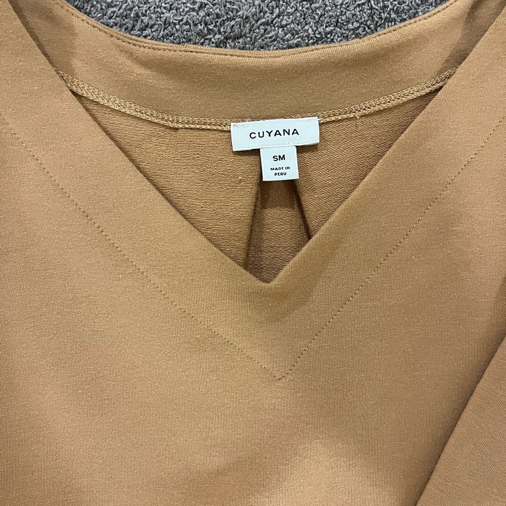Cuyana Camel V-Neck Blouse